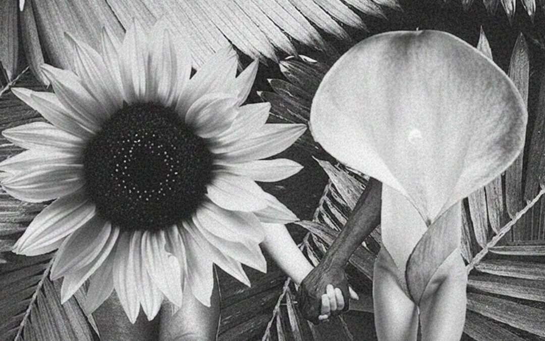 Entrada 3 (posición)