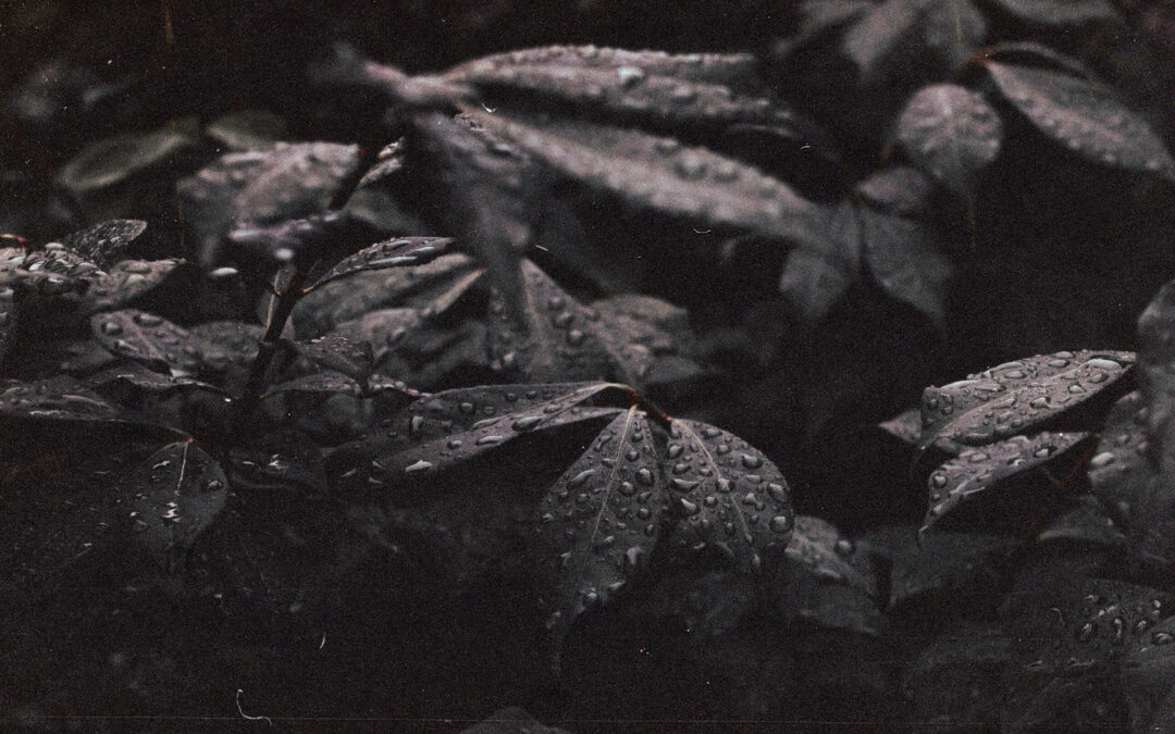 Entrada 2 blog (posición)