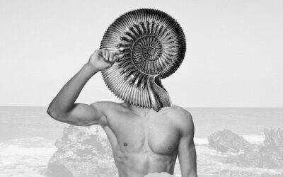 Entrada de blog (posición)